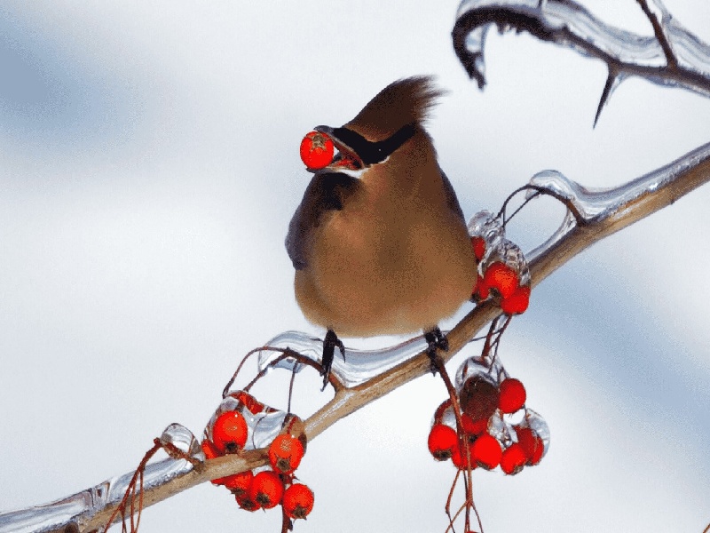 试管摆角摇匀（试管之路从此开始）