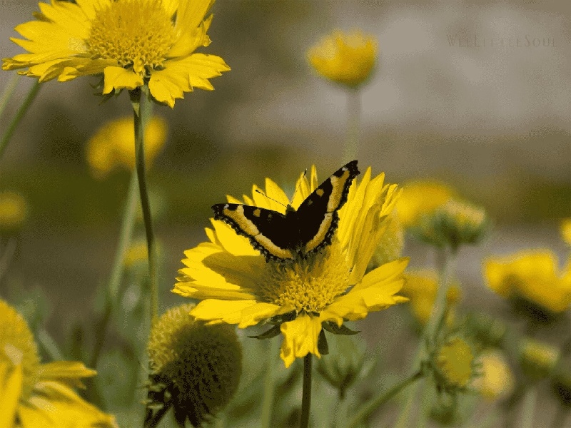 天津试管做几代好,2024年天津陕西妇幼试管排名（普通试管要怎么放）