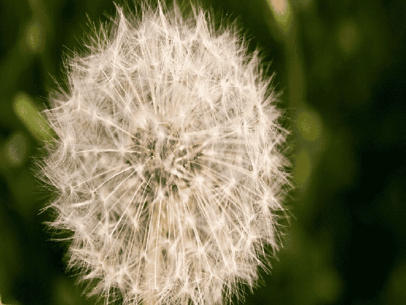 天津最靠谱的代生,代生咨询：在天津公立医院可